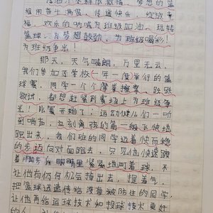 篮球训练收获及感想作文素材怎么写